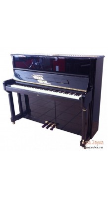 Фото W.STEINBERG PERFORMANCE P125E 190047-1MK (Пианино акустическое, черное, латунная фурнитура)