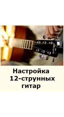 Фото НАСТРОЙКА 12-СТРУННЫХ ГИТАР (Услуги по настройке всех типов 12-ти струнных гитар)