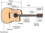 Структура гитары